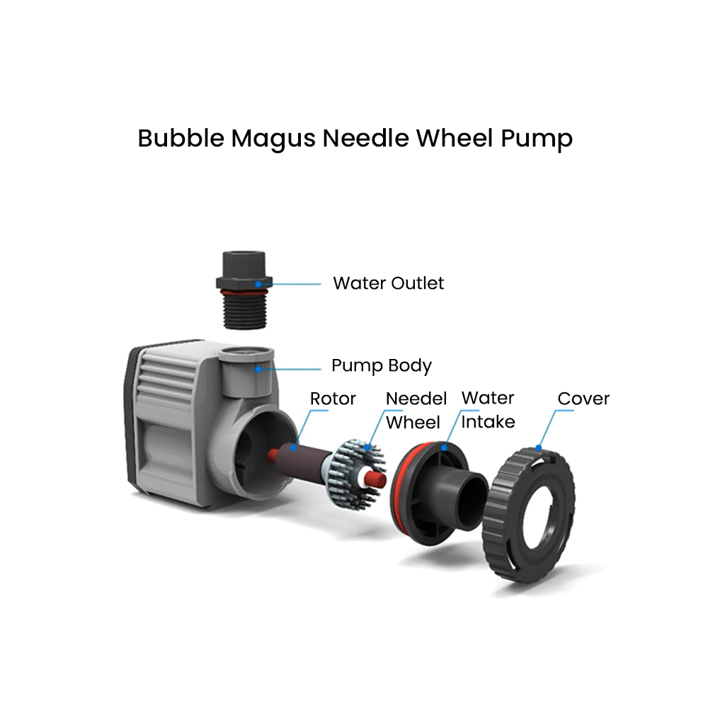 Bubble Magus External Protein  - Protein Skimmer Reef 评论和价格