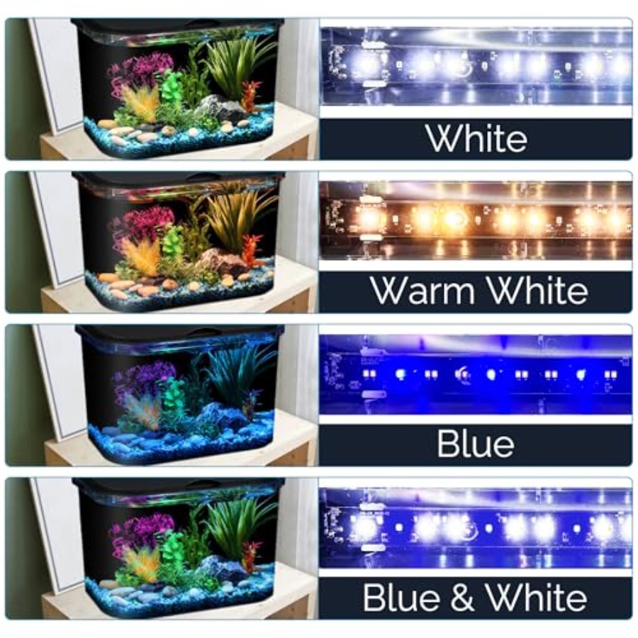 5-Gallon Aquarium Kit with LED - Aquarium Fish Variety 评论和价格