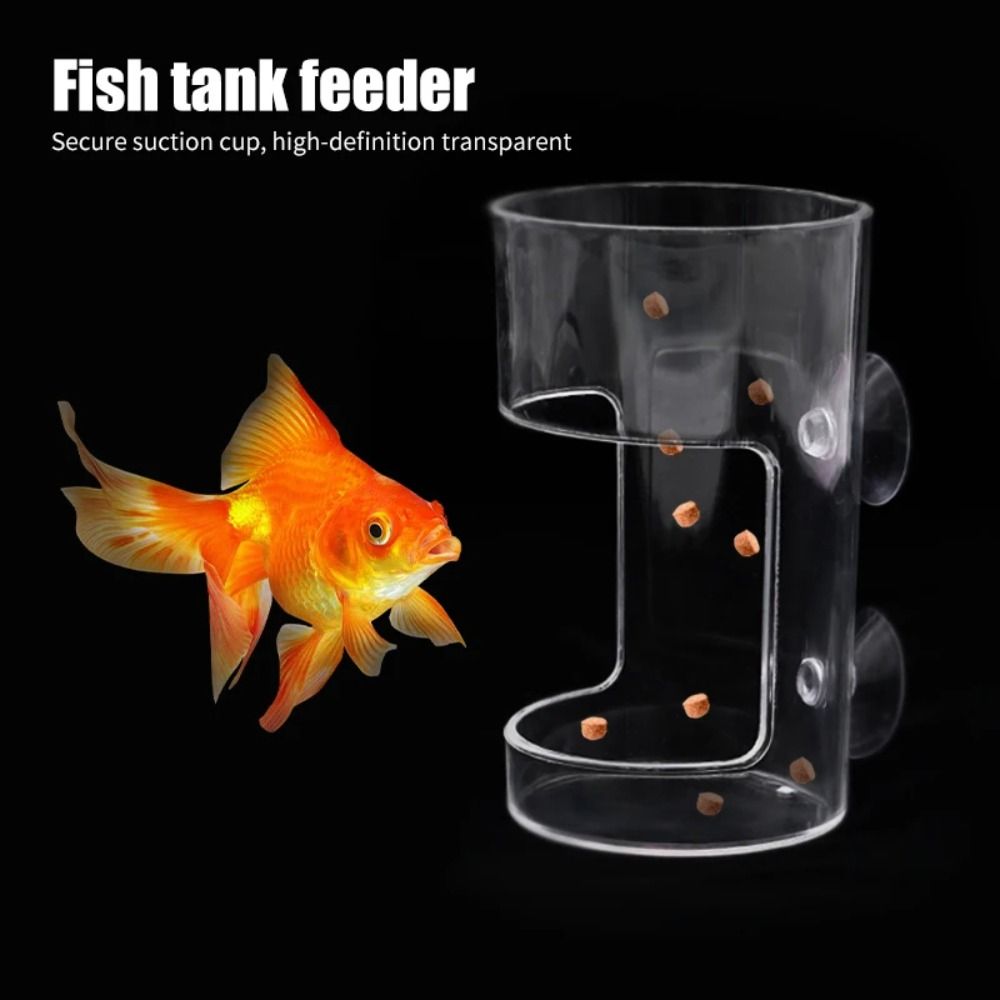 Acrylic Aquarium Feeders Ring  - Aquarium Fish Medicine 评论和价格