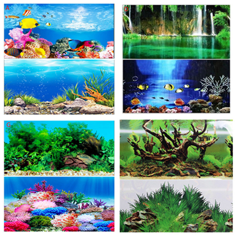 30CM 40CM High Glossy Double S - Fish In Aquarium Picture 评论和价格