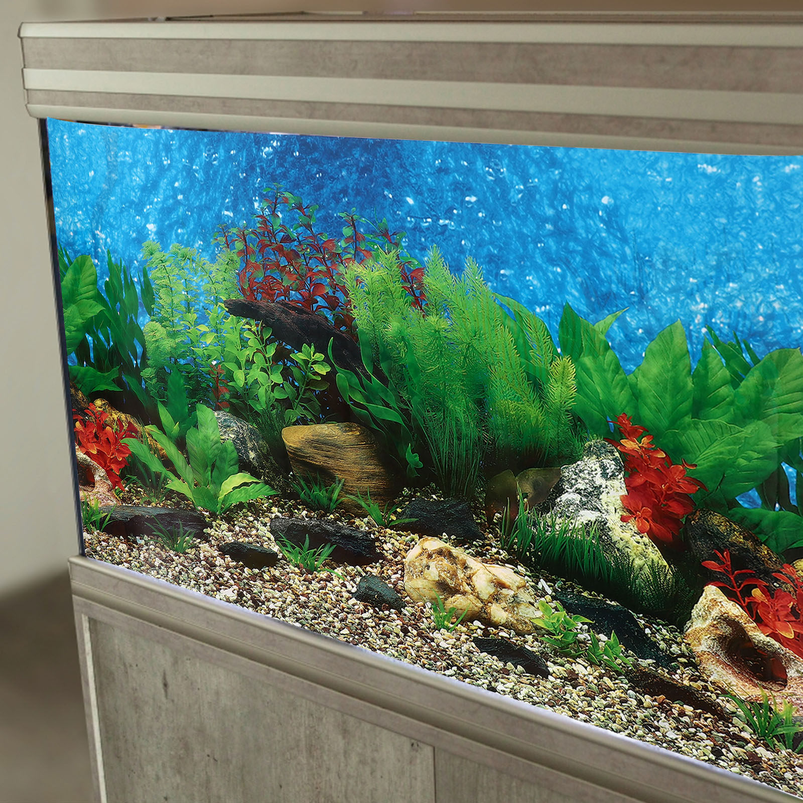 Aquarium Background Sticker Ad - Fish In Aquarium Picture 评论和价格
