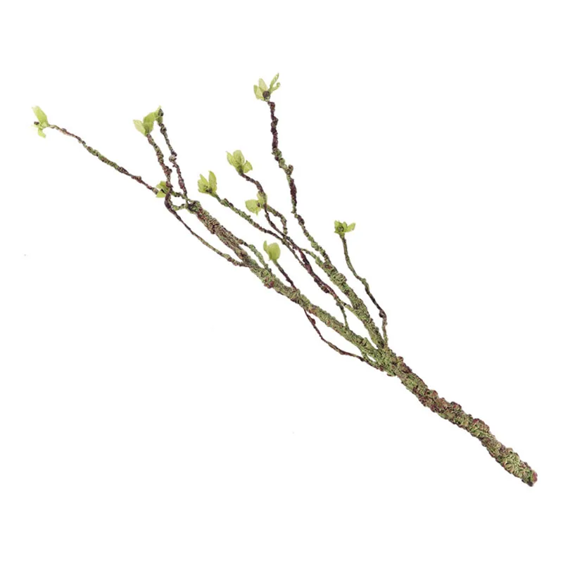 Vines Decor Climbing Branches  - Aquarium Fish Cichlid 评论和价格