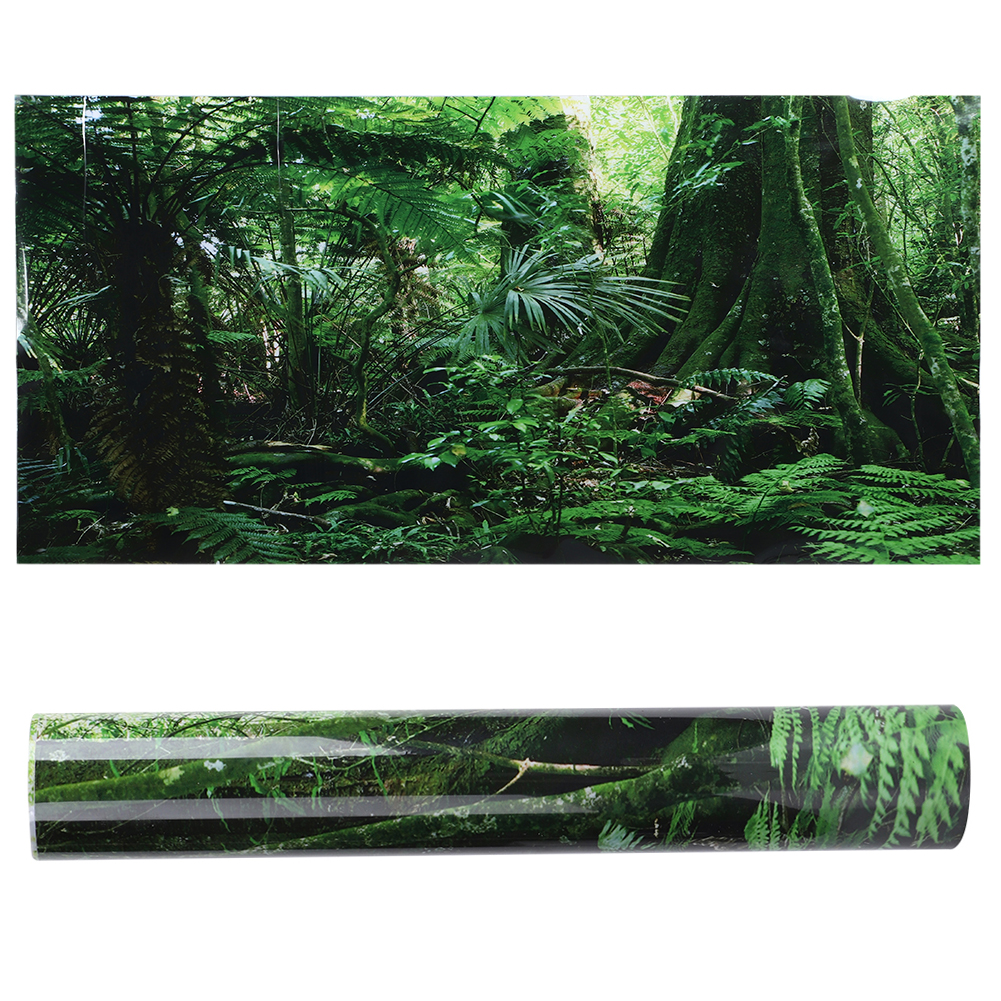 PVC Reptile Box Rainforest Bac - Fish In Aquarium Picture 评论和价格