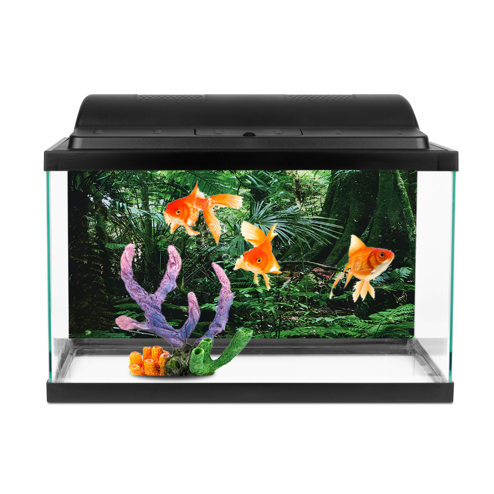 PVC Reptile Box Rainforest Bac - Fish In Aquarium Picture 评论和价格