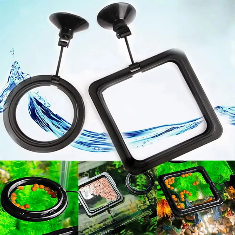 Aquarium Feeding Ring Fish Tan - Aquarium Fish Medicine 评论和价格