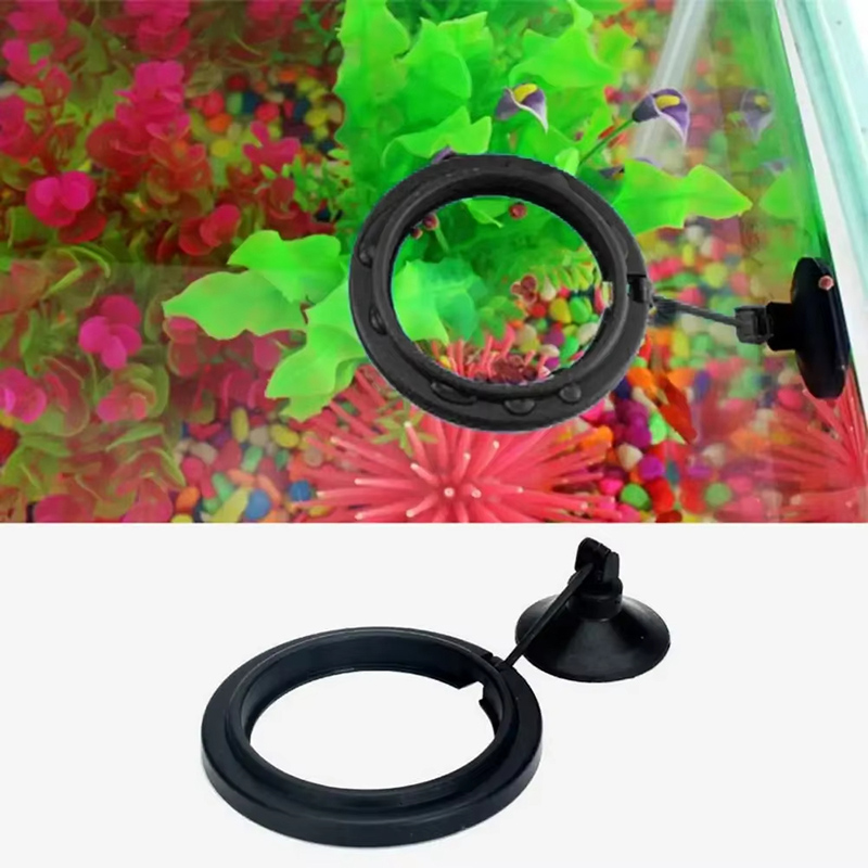 Aquarium Feeding Ring Fish Tan - Aquarium Fish Medicine 评论和价格