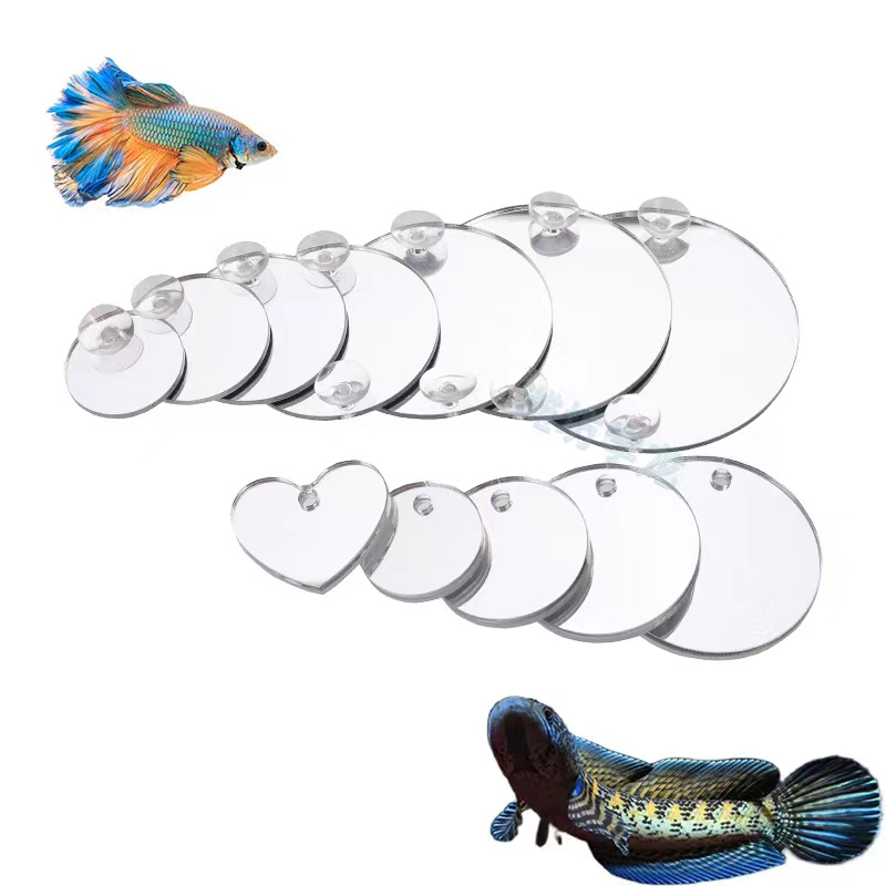 Aquarium Betta Mirror Fish Tan - Aquarium Fish Cichlid 评论和价格